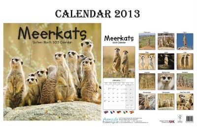 Meerkats Calendar 2013 Free Meerkats Fridge Magnet
